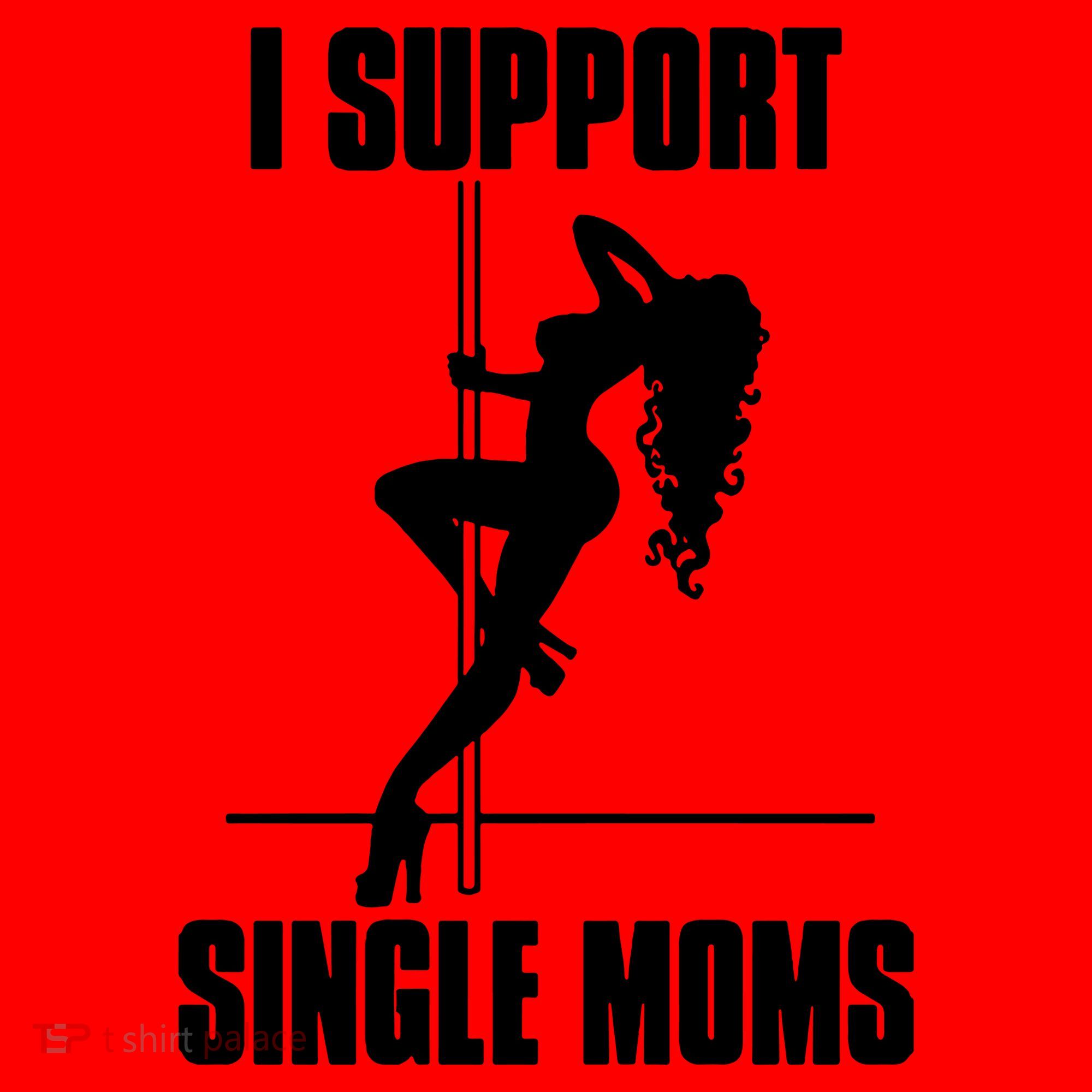 I Support Single Moms Santa Hat