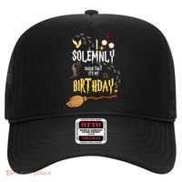 I Solemnly Swear That It's My Birthday Funny Hat thumb 0