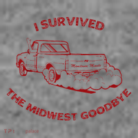 I Survived The Midwest Goodbye Toddler Hoodie thumb 2