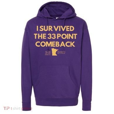 I Survived The 33 Point Comeback Hoodie