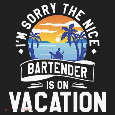 IM Sorry The Nice Bartender Is On Vacation Bartending District V.I.T. Heavyweight Hoodie