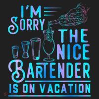 IM Sorry The Nice Bartender Is On Vacation Funny Beanie thumb 2