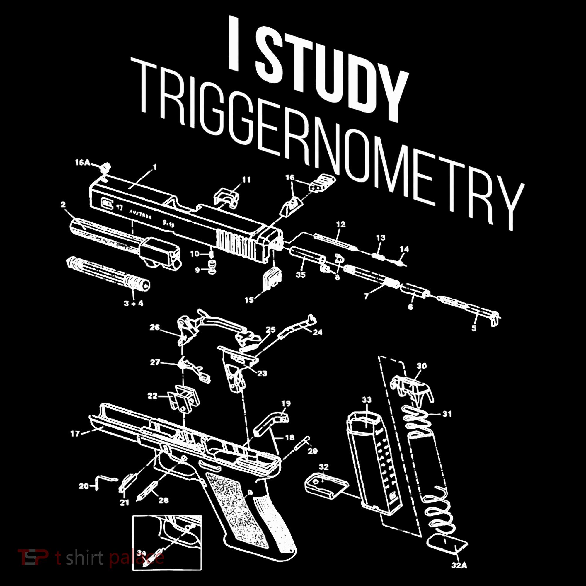I Study Triggernometry Polo