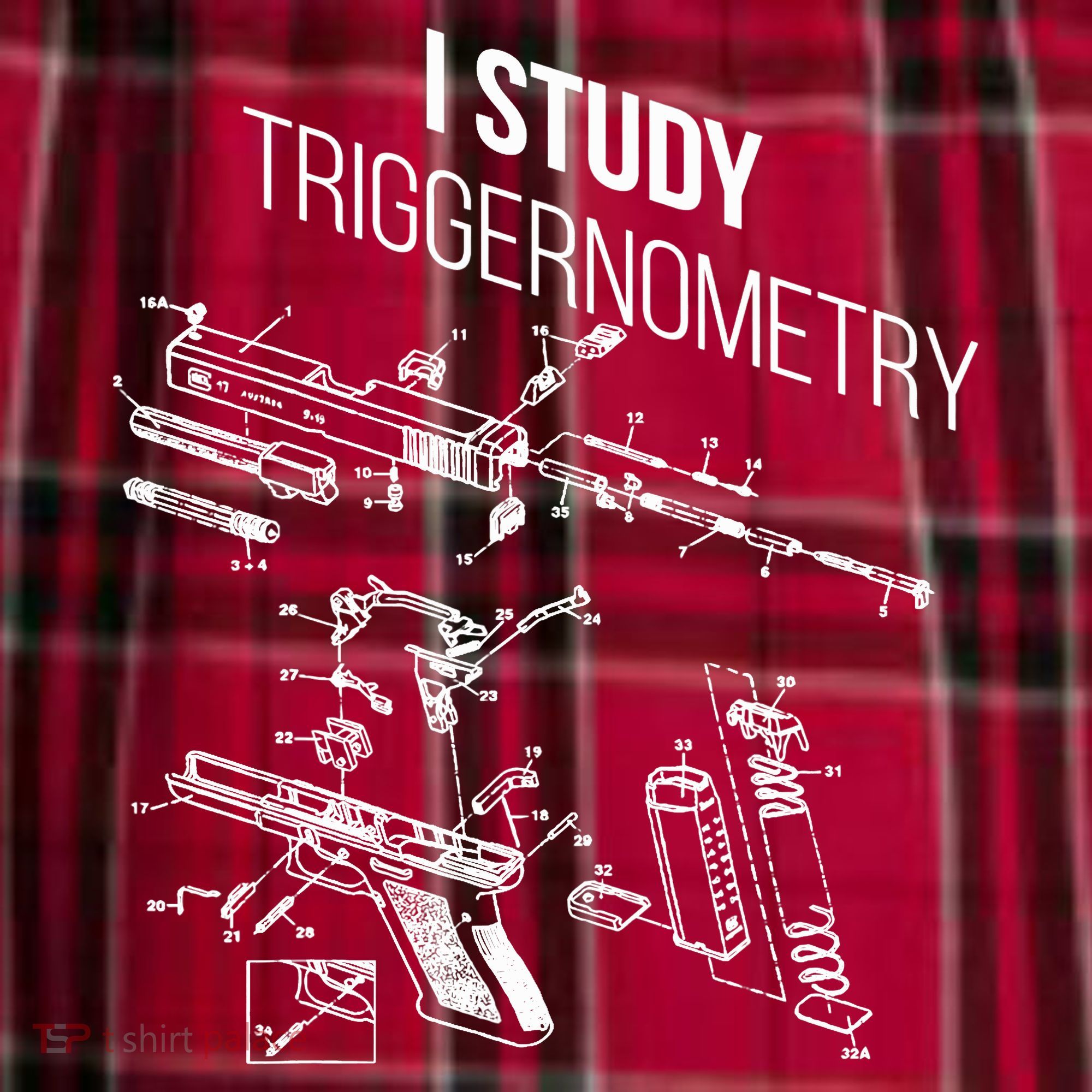I Study Triggernometry Men's Flannel Plaid Pajama Pants