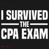 I Survived The CPA Exam Funny Certified Public Accountant Women's Hoodie thumb 2