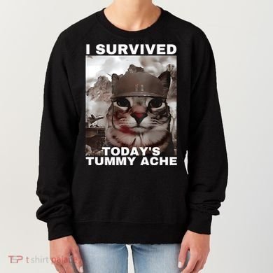 I Survived Todays Tummy Ache Women's Sweatshirt