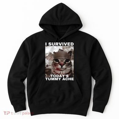 I Survived Todays Tummy Ache Hoodie