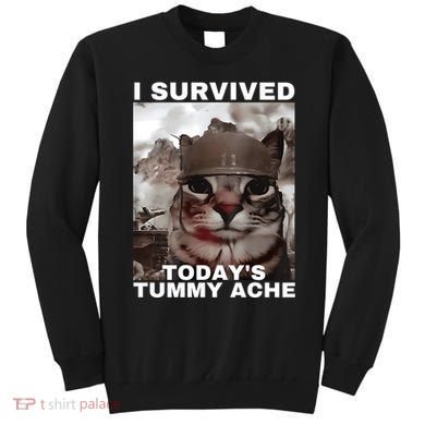 I Survived Todays Tummy Ache Sweatshirt