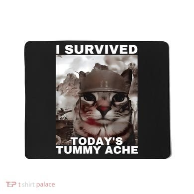 I Survived Todays Tummy Ache Mousepad