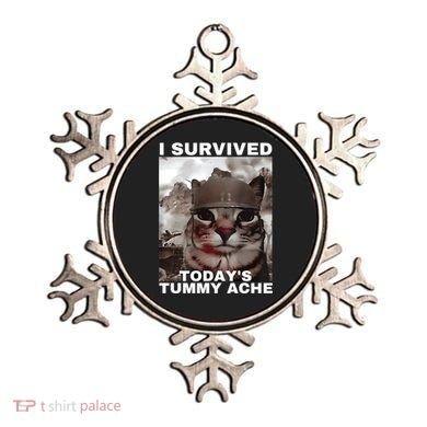 I Survived Todays Tummy Ache Ornament