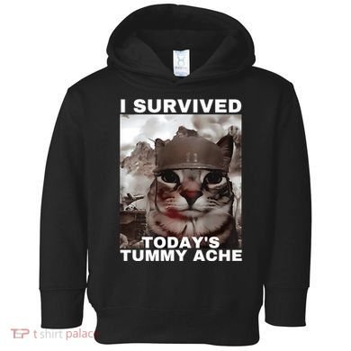 I Survived Todays Tummy Ache Toddler Hoodie