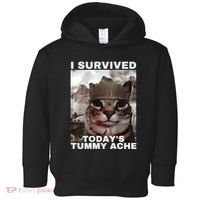 I Survived Todays Tummy Ache Toddler Hoodie thumb 0