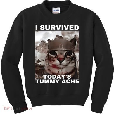 I Survived Todays Tummy Ache Kids Sweatshirt
