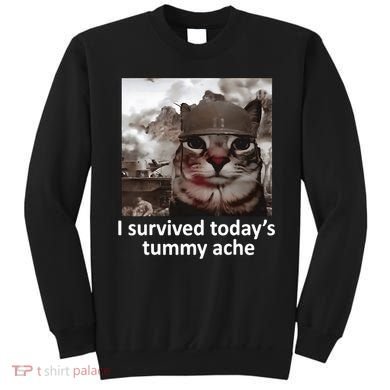 I Survived TodayS Tummy Ache Sweatshirt