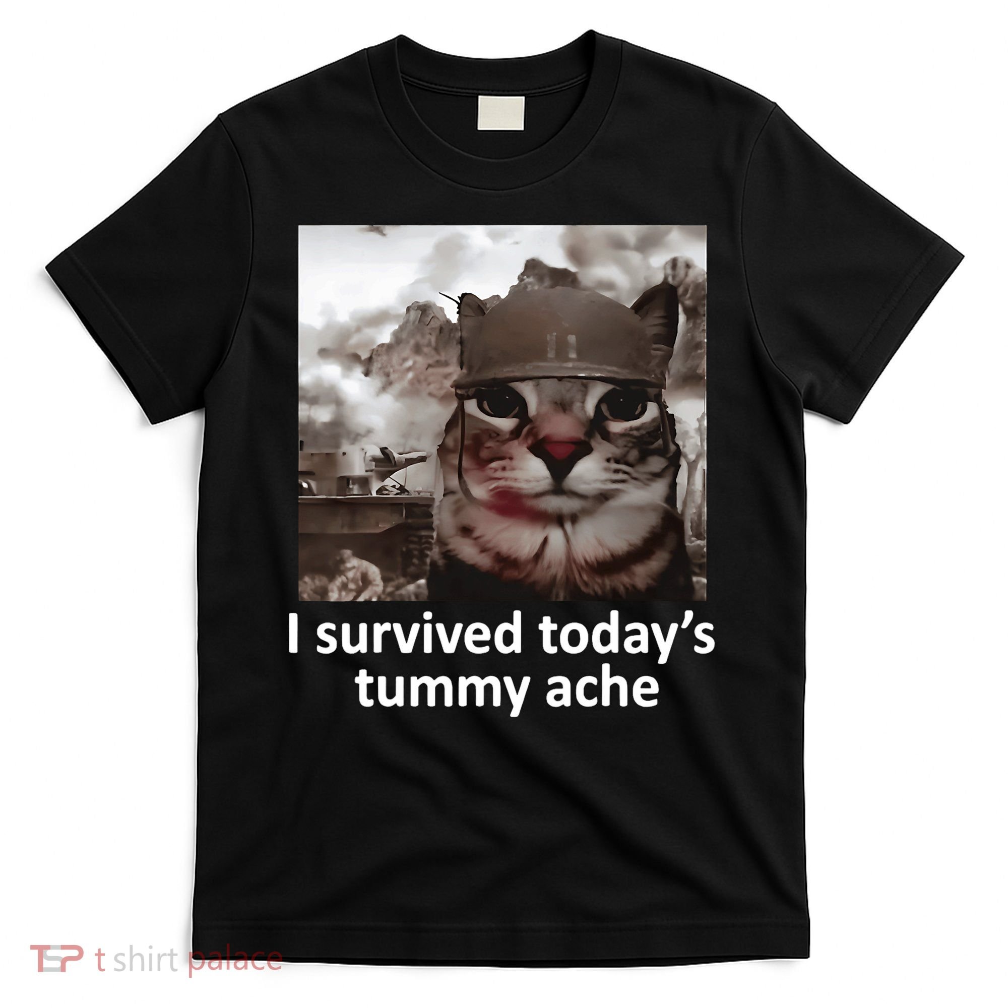 I Survived TodayS Tummy Ache T-Shirt