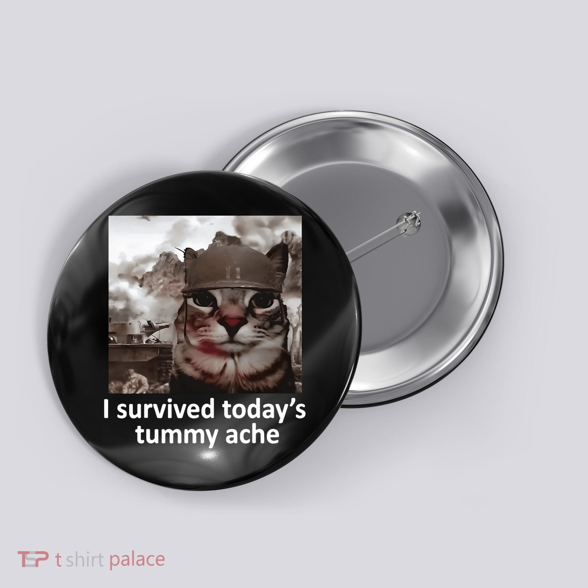 I Survived TodayS Tummy Ache Button