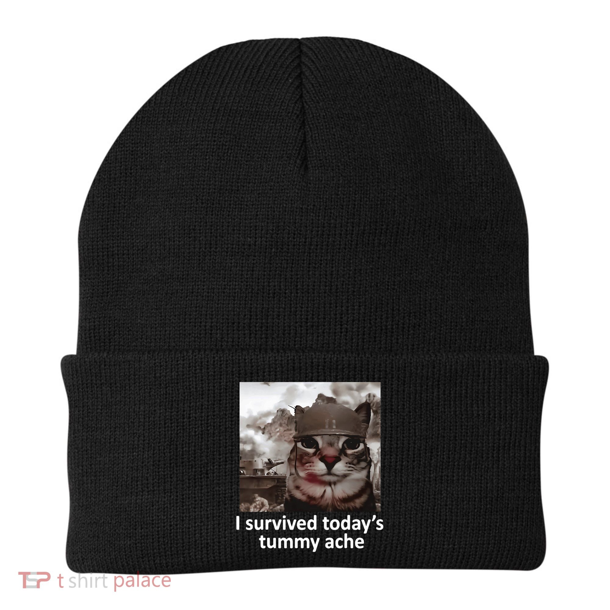 I Survived TodayS Tummy Ache Beanie