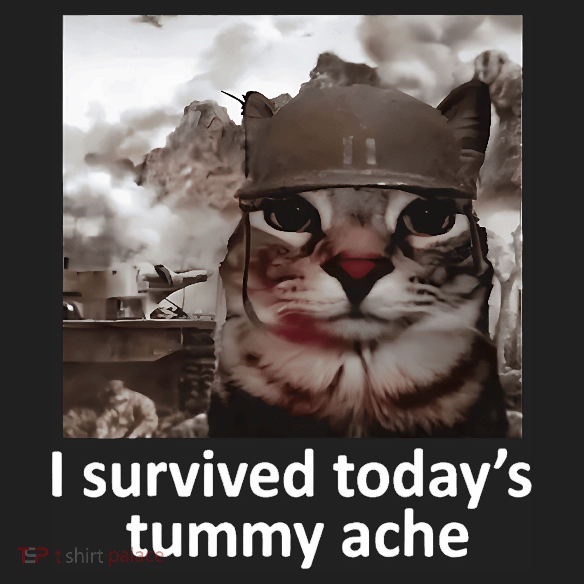 I Survived TodayS Tummy Ache Beanie