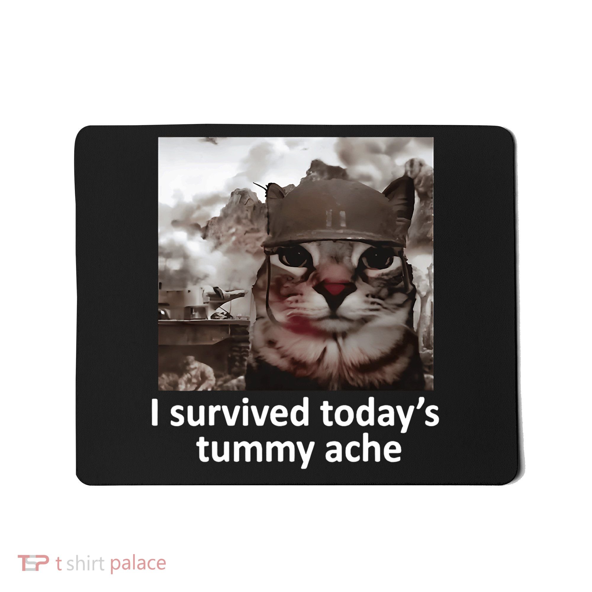 I Survived TodayS Tummy Ache Mousepad