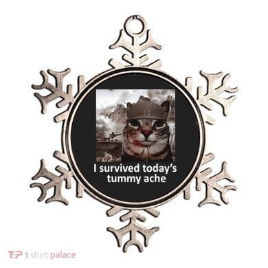 I Survived TodayS Tummy Ache Ornament