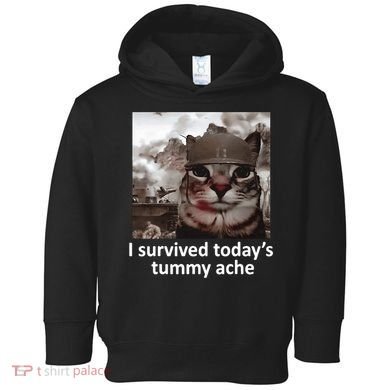 I Survived TodayS Tummy Ache Toddler Hoodie
