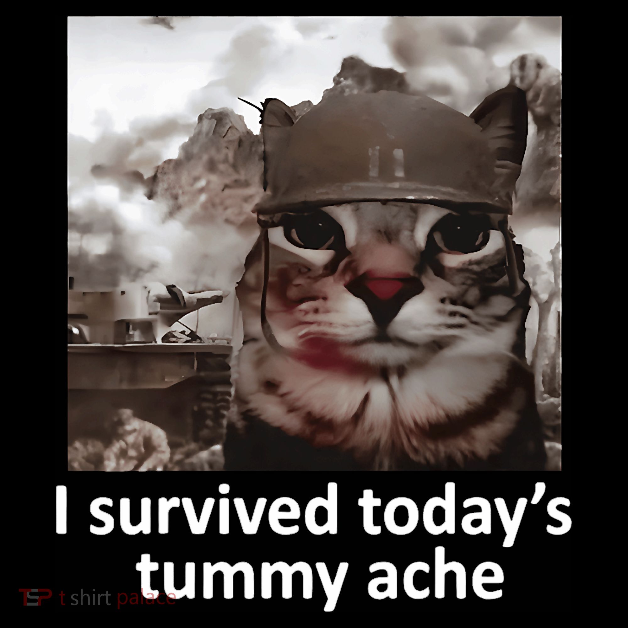 I Survived TodayS Tummy Ache Women's T-Shirt