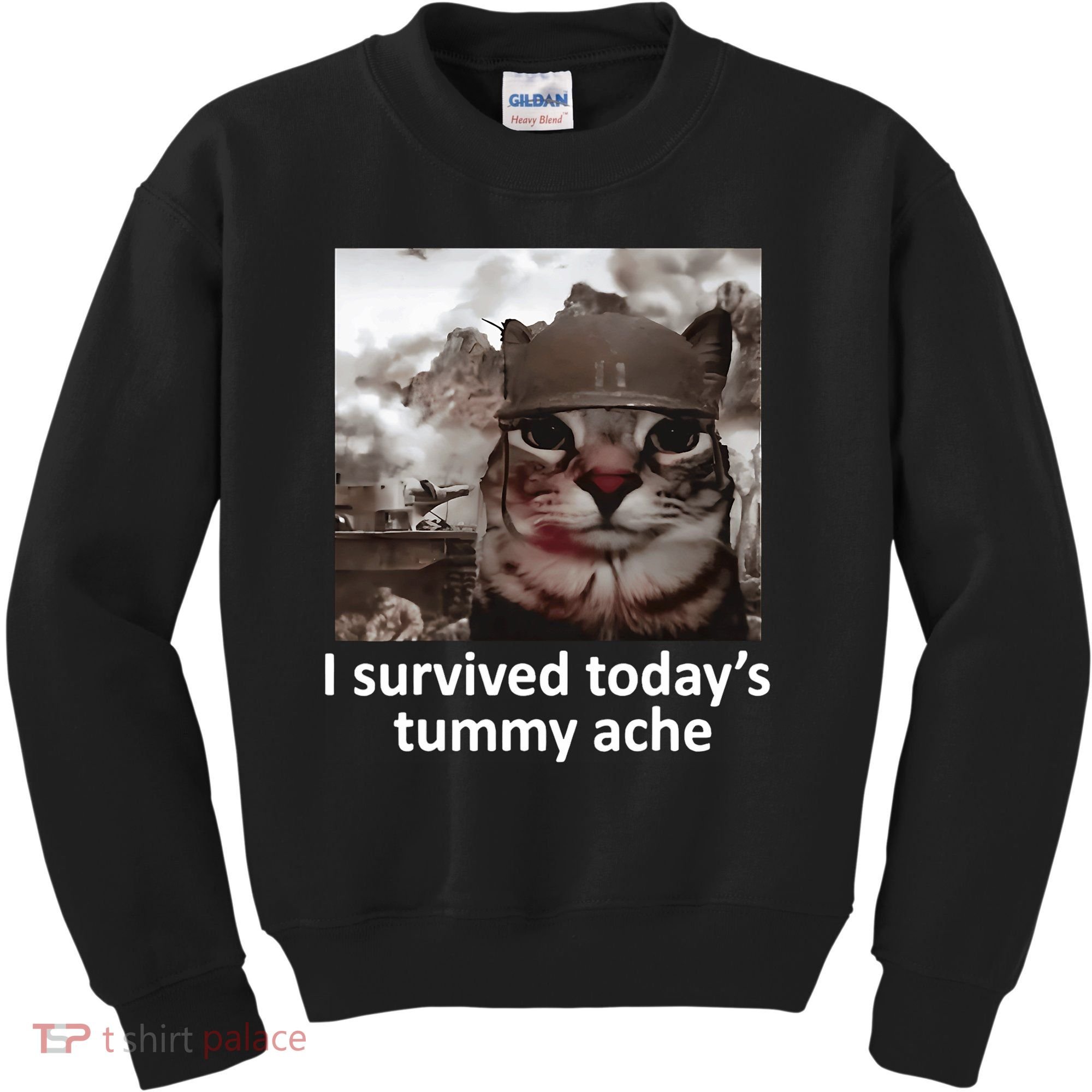 I Survived TodayS Tummy Ache Kids Sweatshirt