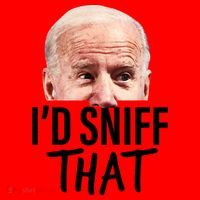 I'd Sniff That. Anti Joe Biden Funny Parody Santa Hat thumb 1