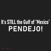 ItS Still The Gulf Of Mexico Pendejo Beanie thumb 2
