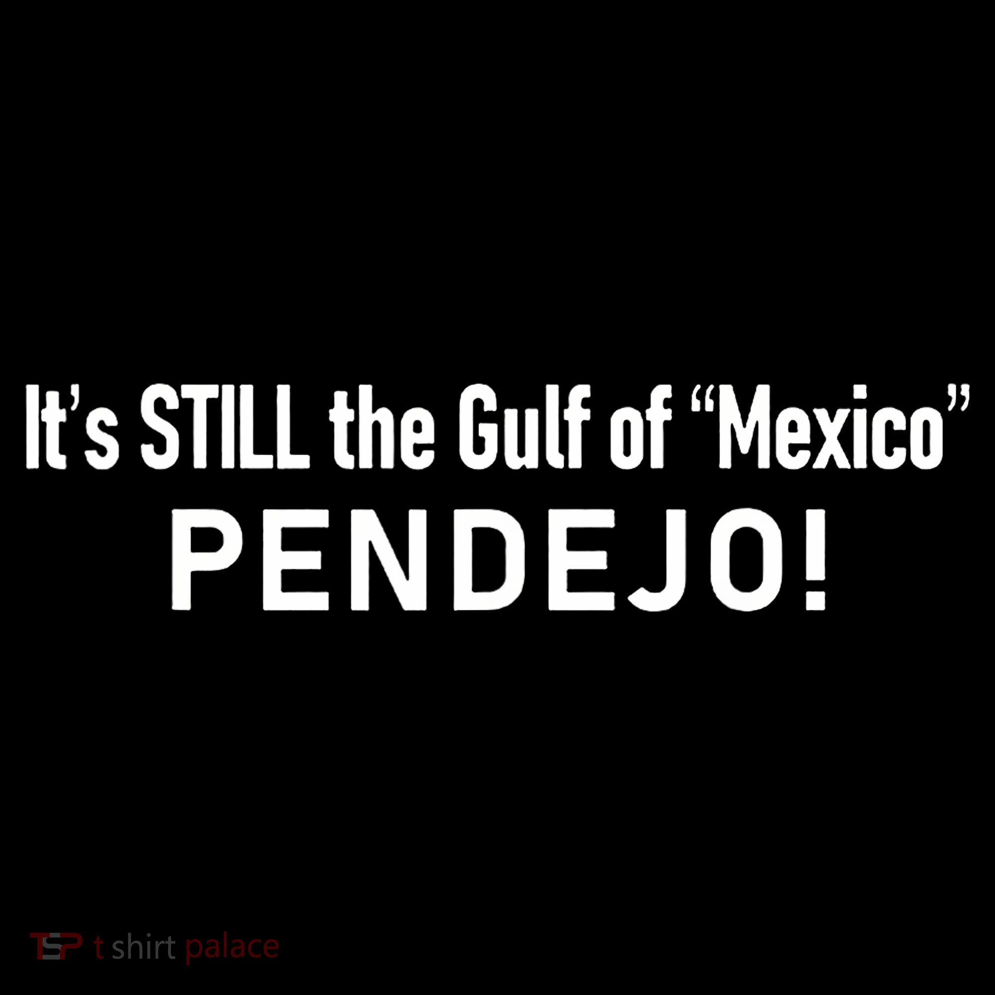 ItS Still The Gulf Of Mexico Pendejo Women's Hoodie
