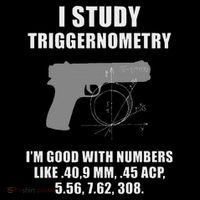 I Study Triggernometry Gun Pistol Funny Hoodie thumb 7