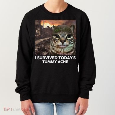 I Survived TodayS Tummy Ache Funny Cat Meme Women's Sweatshirt