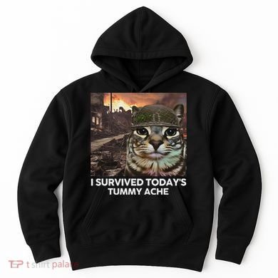 I Survived TodayS Tummy Ache Funny Cat Meme Hoodie