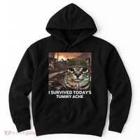 I Survived TodayS Tummy Ache Funny Cat Meme Hoodie thumb 0