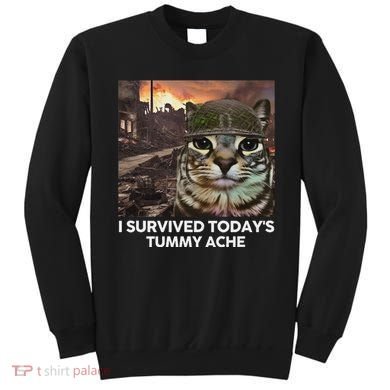 I Survived TodayS Tummy Ache Funny Cat Meme Sweatshirt