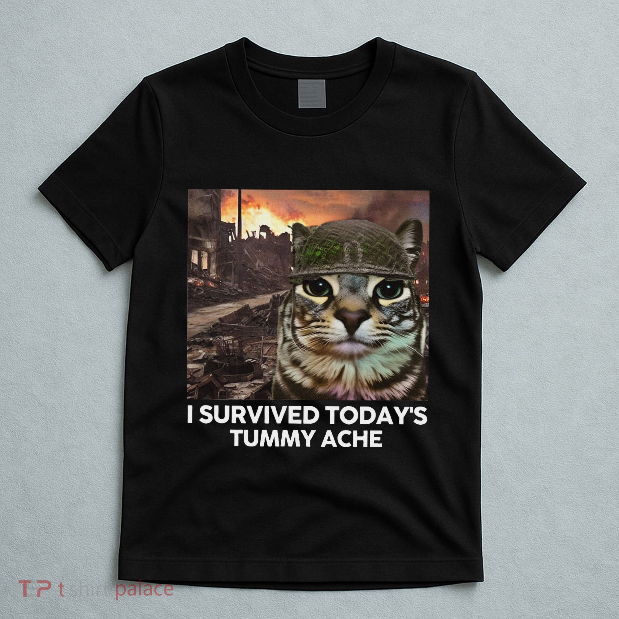 I Survived TodayS Tummy Ache Funny Cat Meme T-Shirt