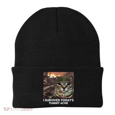 I Survived TodayS Tummy Ache Funny Cat Meme Beanie