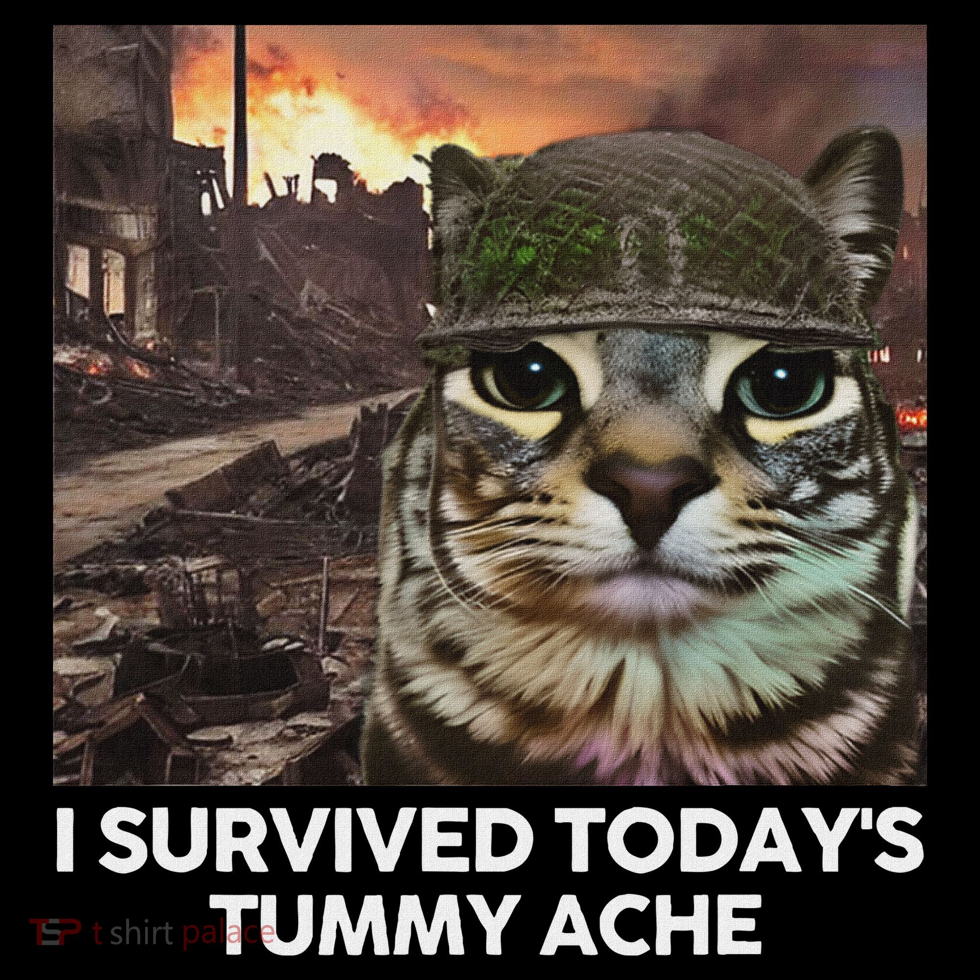 I Survived TodayS Tummy Ache Funny Cat Meme Women's Hoodie