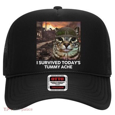 I Survived TodayS Tummy Ache Funny Cat Meme Hat