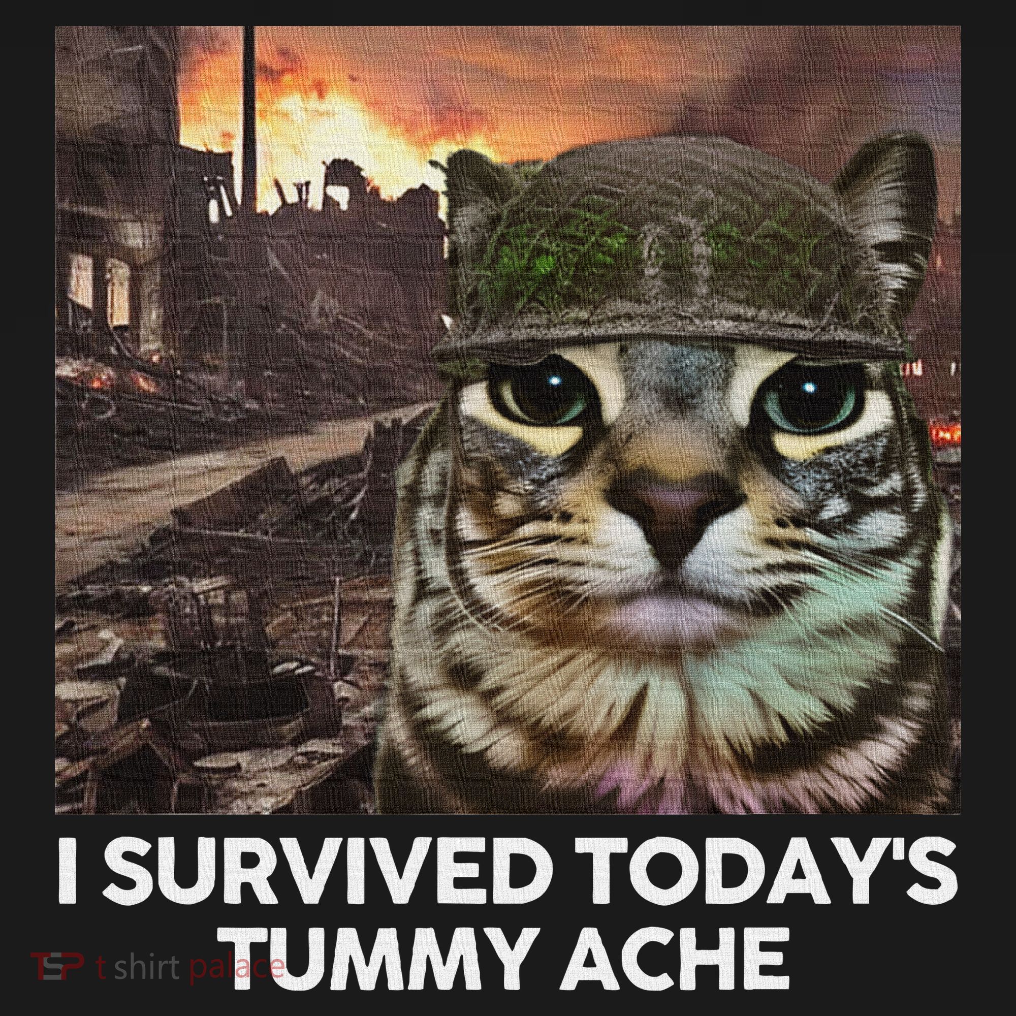 I Survived TodayS Tummy Ache Funny Cat Meme Toddler Hoodie