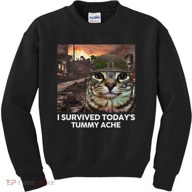 I Survived TodayS Tummy Ache Funny Cat Meme Kids Sweatshirt