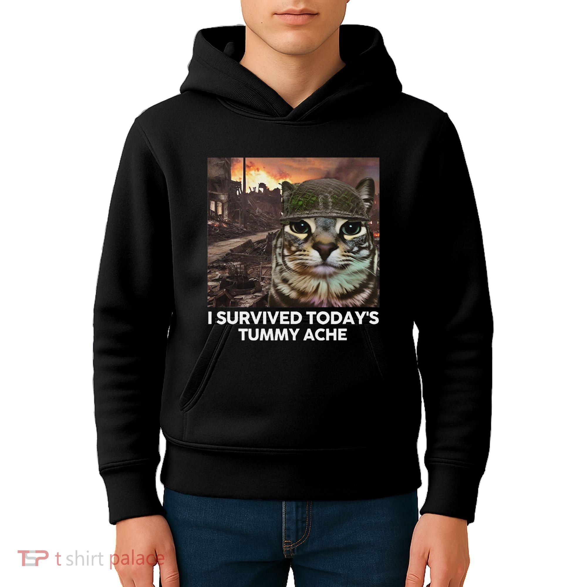 I Survived TodayS Tummy Ache Funny Cat Meme Kids Hoodie