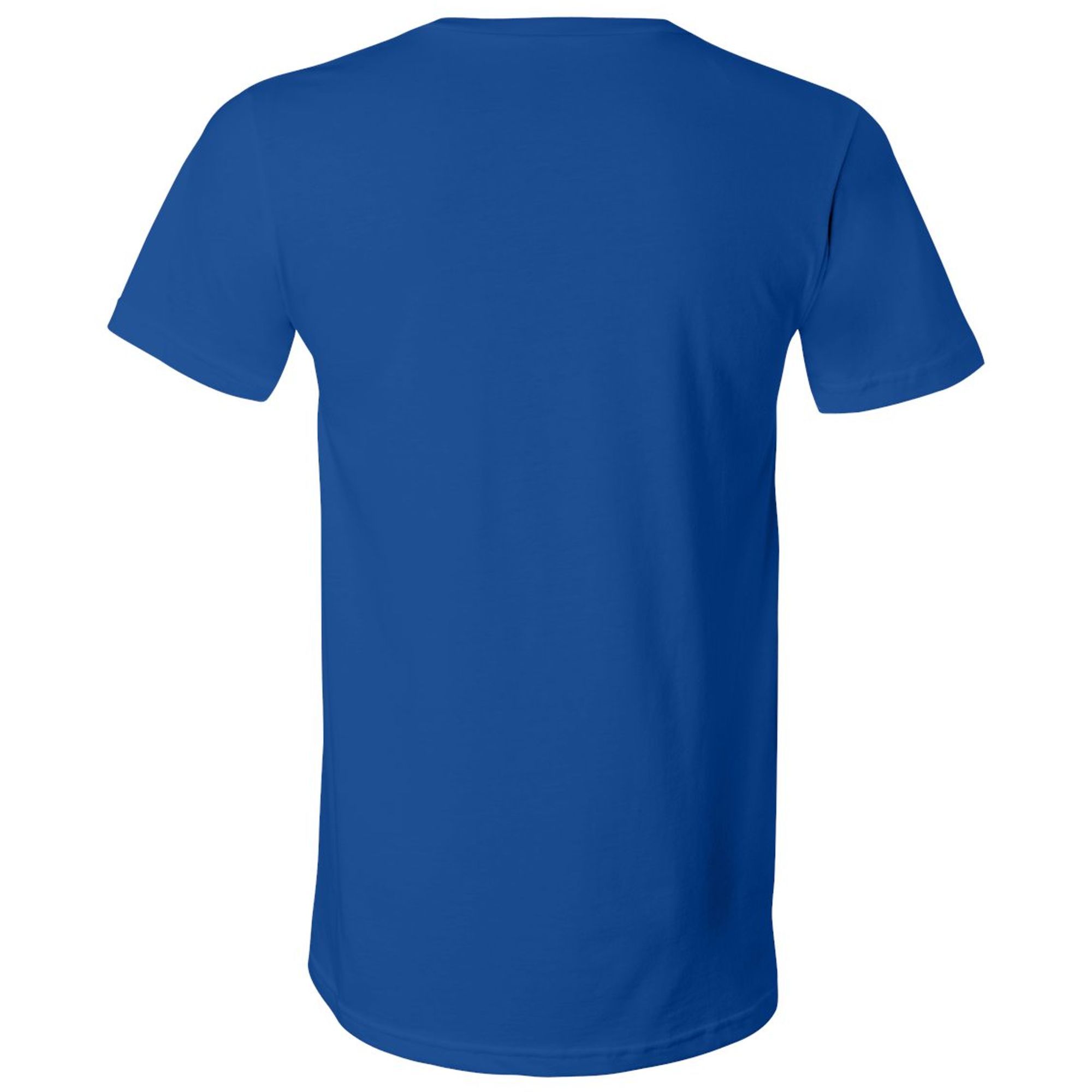 I Survived The Road To Hana Gift V-Neck T-Shirt