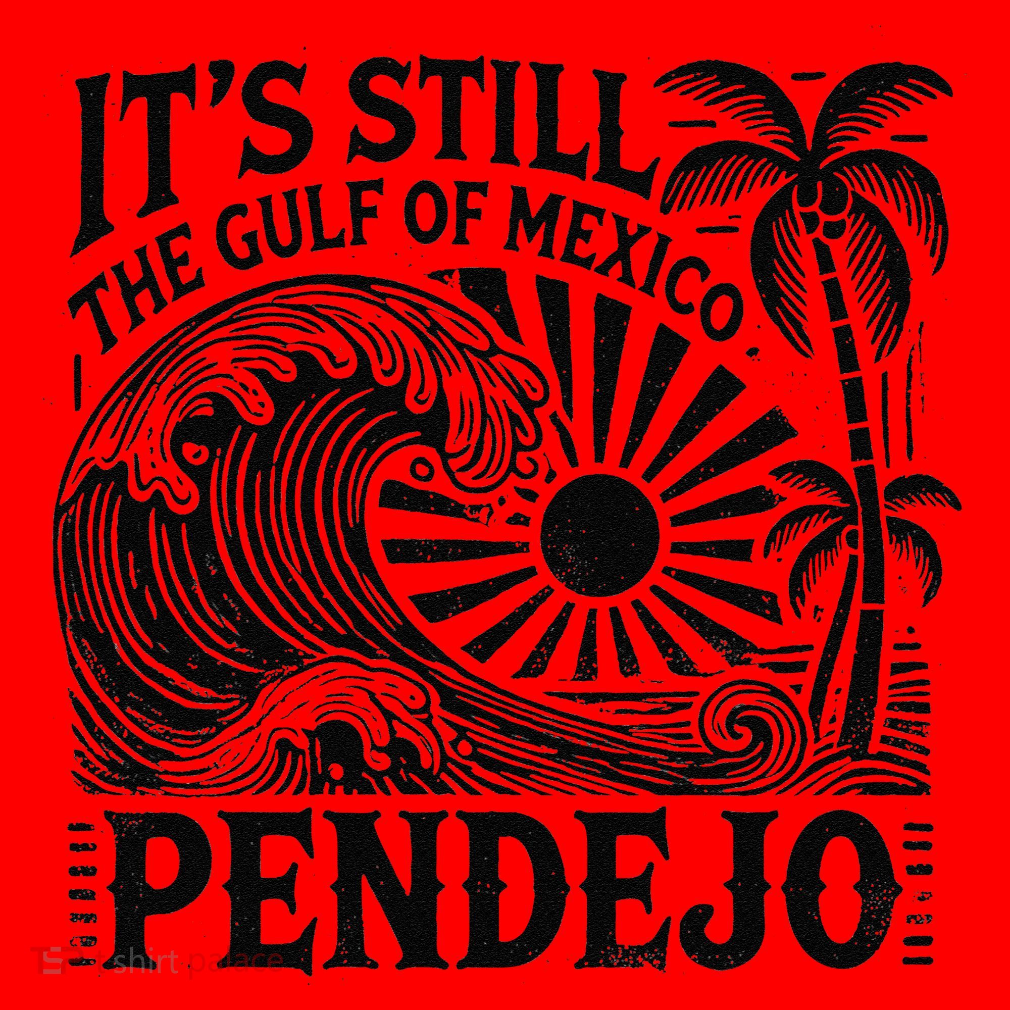 Its Still The Gulf Of Mexico Pendejo Gift Santa Hat