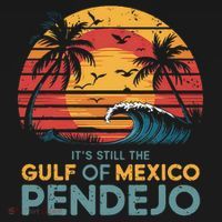 Its Still The Gulf Of Mexico Pendejo Gulf Of Mexico Summer Women's Hoodie thumb 2