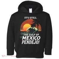 ItS Still The Gulf Of Mexico Pendejo Toddler Hoodie thumb 0