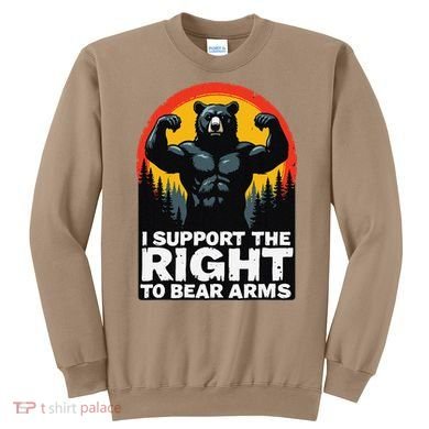 I Support The Right To Bear Arms Retro Bear Design Sweatshirt