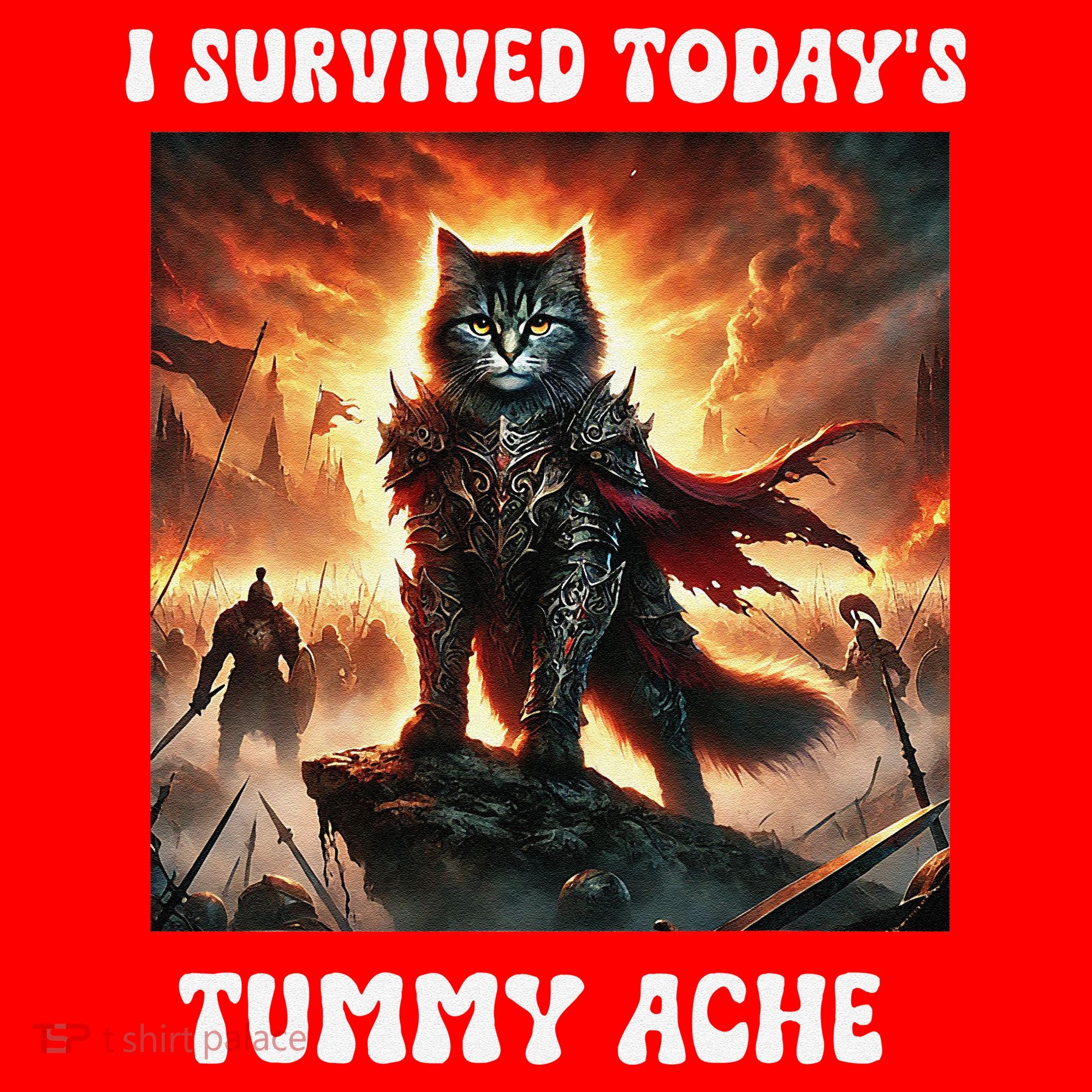 I Survived TodayS Tummy Ache Groovy Funny Cat Santa Hat