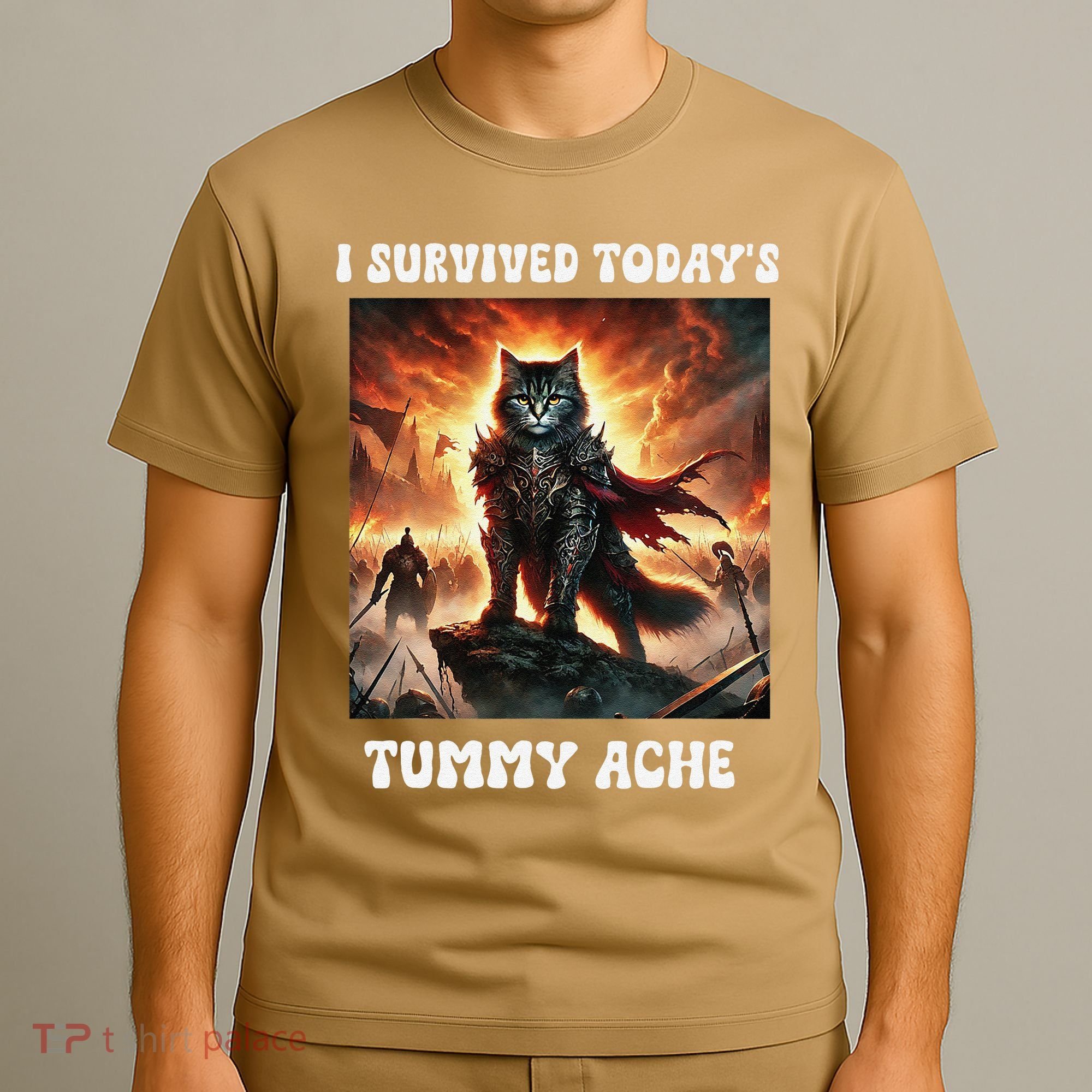 I Survived TodayS Tummy Ache Groovy Funny Cat T-Shirt
