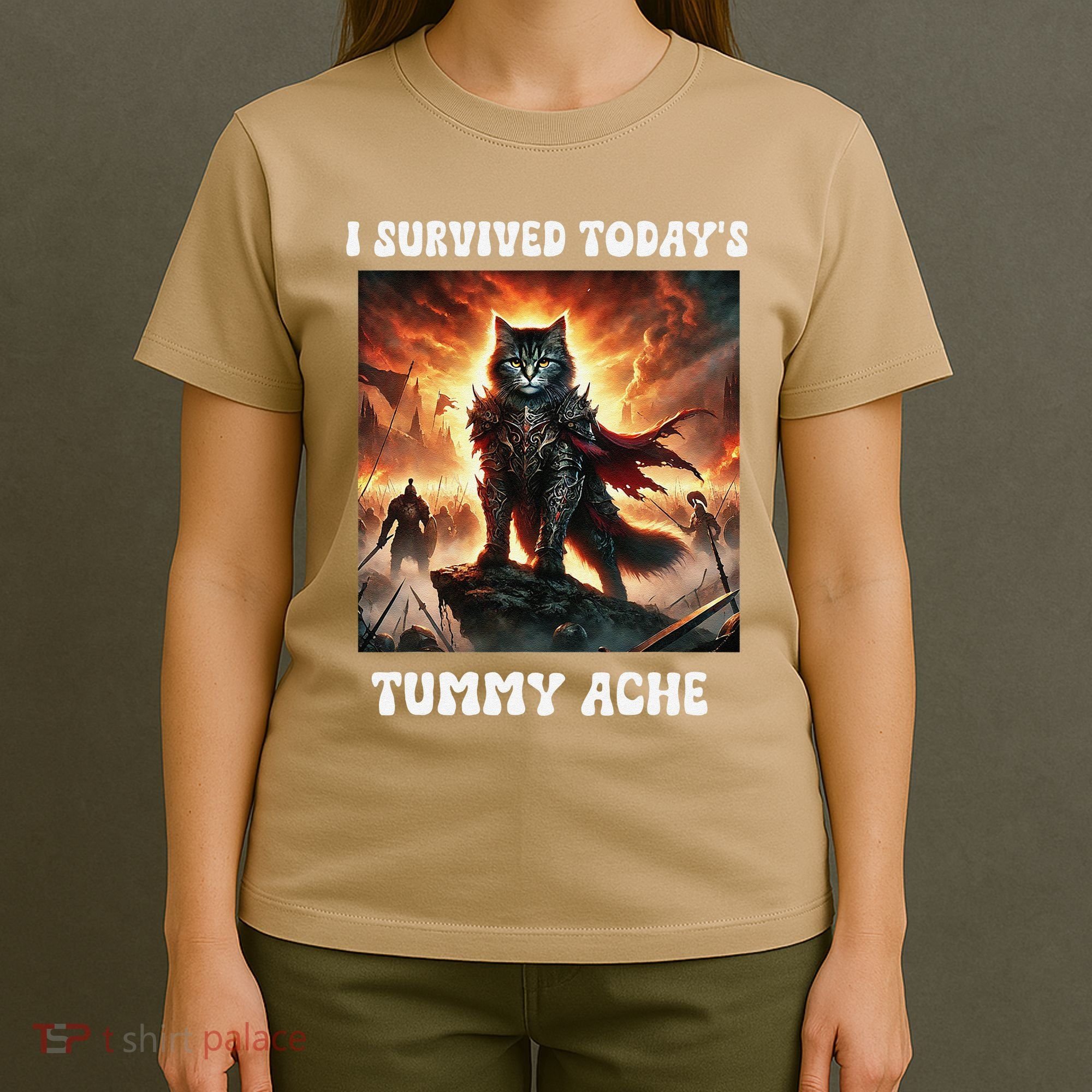 I Survived TodayS Tummy Ache Groovy Funny Cat T-Shirt